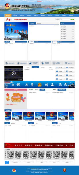蚌埠网络公司网站案例-公安局网站
